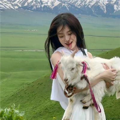 出柙猛虎